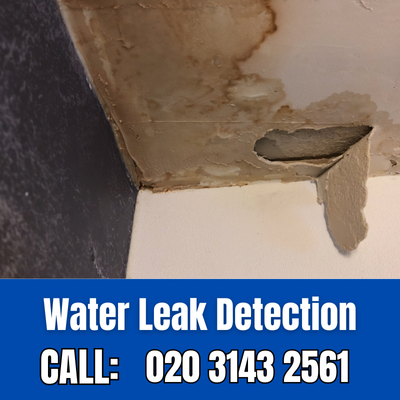 Expert Water Leak Detection Services in Queensbury | Queensbury Leak Detection